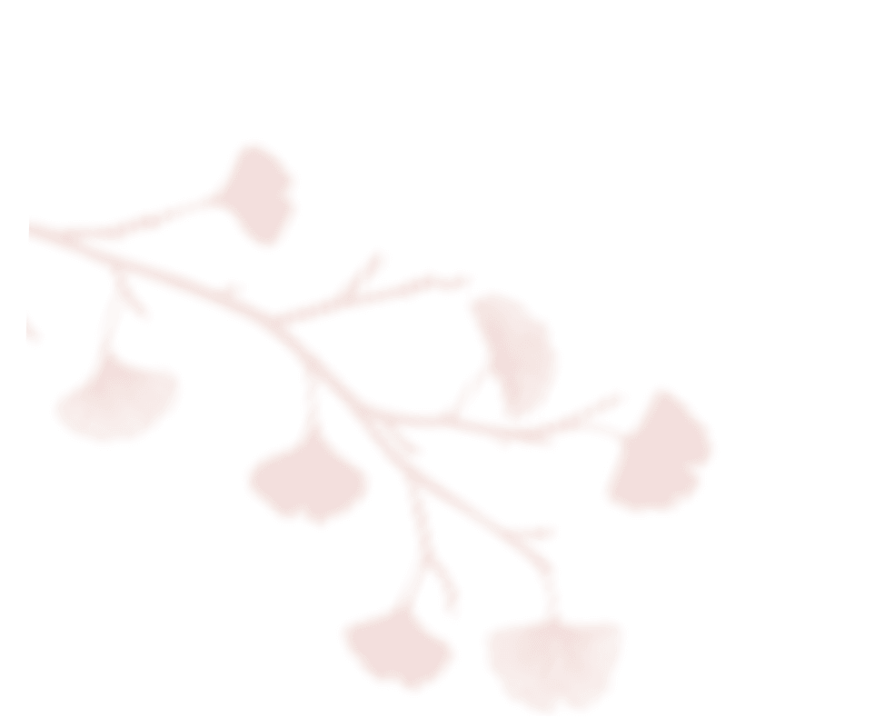 https://herdawedding.it/wp-content/uploads/2020/12/shadow_leaves_06.png