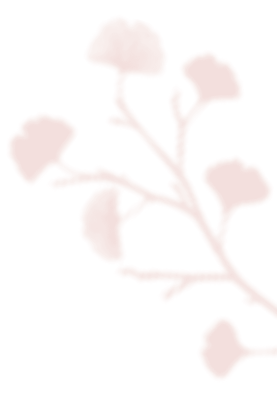 https://herdawedding.it/wp-content/uploads/2020/12/shadow_leaves_07.png